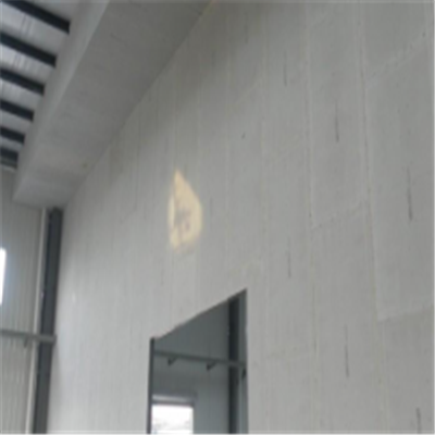 鹿寨宁波ALC板|EPS加气板隔墙与混凝土整浇联接的实验研讨